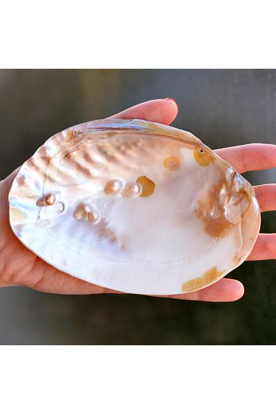 Taş Sandığı Pearl Stone Plate - Sea Shell with Pearls