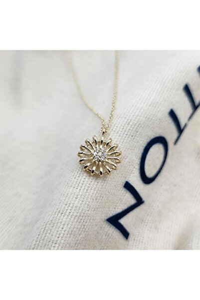 FasekGold Gümüş Kolye - Anturajlı Taşlı Enerji Kolyesi - Gümüş Enerji ve Şans...