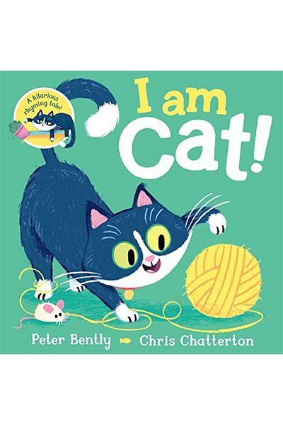 Pan Macmillan I am Cat
