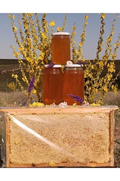 cahter Organik Karakovan süzme bal 850 gr