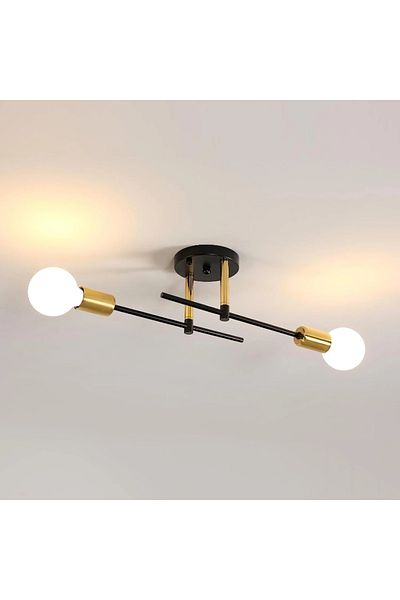 COOINJOY 2bg Hot Sales 2-light Simple Decoration Modern Chandeliers Ceiling Lamp Flush Mounted Indoor Room Li