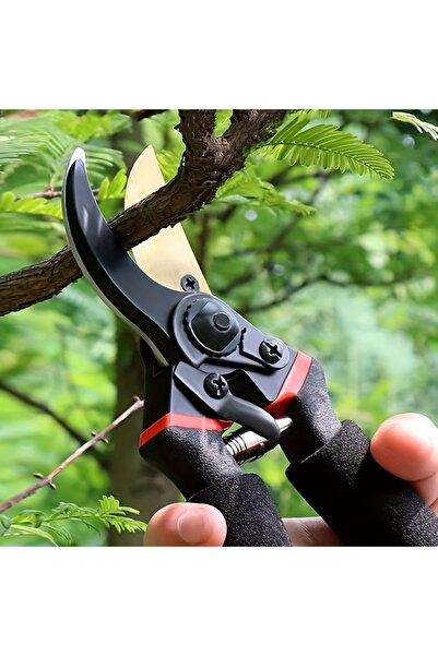 Choice مقص تقليم شديد التحمل 8.5 بوصة، مقص تقليم احترافي من التيتانيوم (T13) - فائق الحدة، ممتاز للحدائق