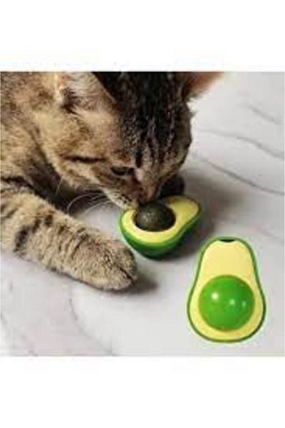 Badem Akvaryum Avocado Catnip Avocado Cat Grass Ball Avocado Catnip Toy