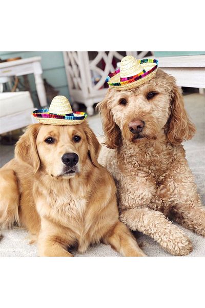 Choice 11.5x6.5cm Colorful Mini Pet Dogs Straw Hat Sombrero Cat Sun Hat Beach Party Mexican Straw Cap Hats