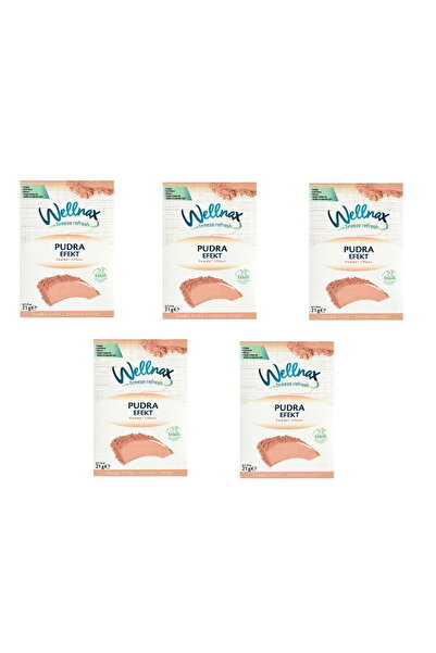 Wellnax breeze refresh Dolap Ve Çekmece Kokusu Pudra Efekti Kesesi X5