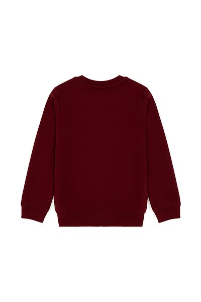 U.S. Polo Assn. Baby Boy Burgundy Basic Sweatshirt 50276010 -Vr014