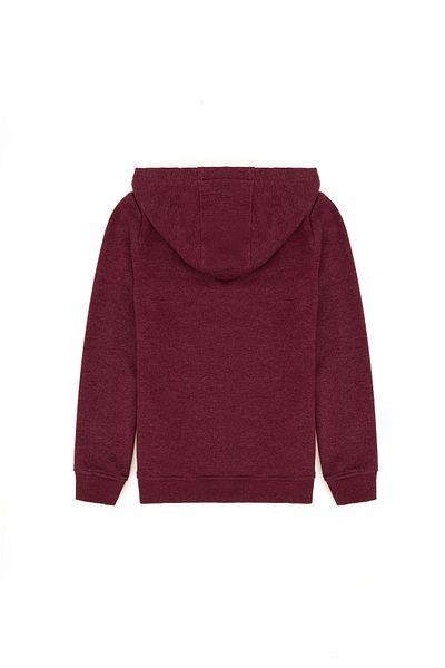 U.S. Polo Assn. Burgundy Hooded Kids Sweatshirt - 50269419 -Vr014