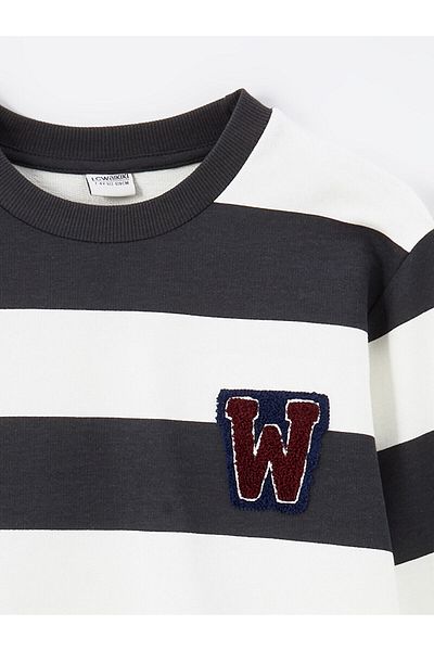 LC Waikiki Lcw Crew Neck Boy Sweatshirt