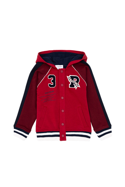 U.S. Polo Assn. Момчешка червена суитшърт 50270845-VR030