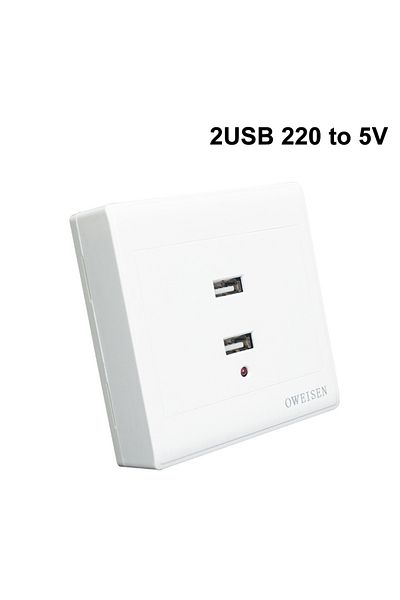 Choice 2 Usb Output 220v To 5v Usb Wall Outlet Socket Tamper-resistant Receptacles Plug Power Outlet With 2