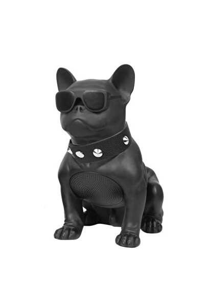 Nettech ACH-M10 Kablosuz Hoparlör - Speaker - Siyah