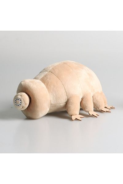 Choice 25cm 25cm Water Bear Tardigrade Plush Toy Soft Tardigrade Dolls Stuffed Animals Educational Toys For