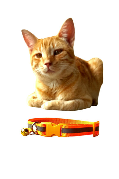 MIT Kedi Tasması fosforlu şeritli