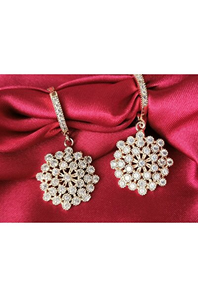 Store Zircon Stone Women's Earrings