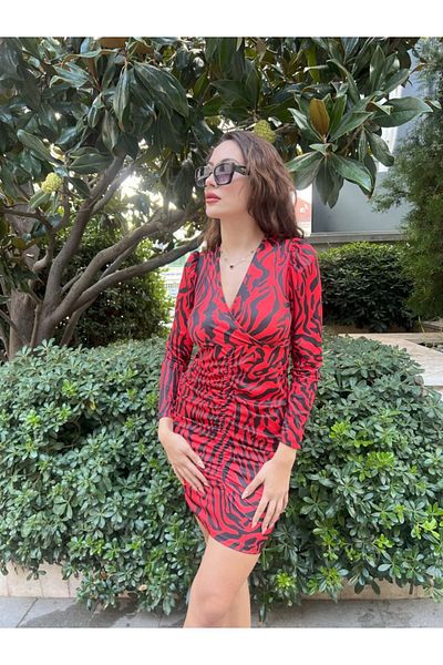 Moka Shopin Mokashopin Zebra Print Double Breasted Collar Long Sleeve Smocked Diver Dress