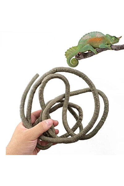 Choice 3m Large Flexible Vines Rattan Habitat Decoration Bendable Jungle Branches Climb Pet Supplies Reptil