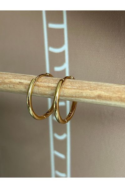 lavanderopa Anillo Steel Earrings