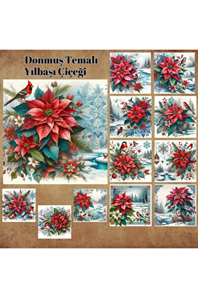 Pink Swan Craft Novogodišnji cvetni set zaleđenih tema - 12 komada seta mat n...