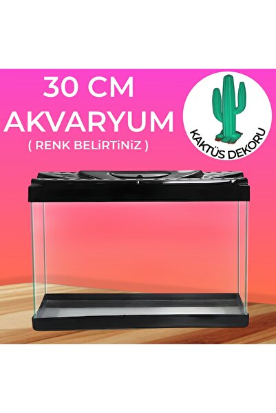 Akvaryum Yapay Akvaryum Bitkisi ve 30 Cm Akvaryum ( Kaktüslü Akvaryum Seti ) ...