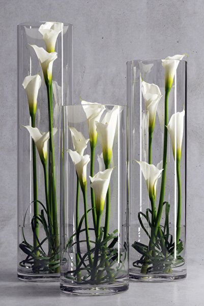 Paşa Cam Silindir cam Vazo Set 12 Cm Genişlik 20 cm Yükseklik 25 cm Yükseklik 30 cm Yükseklik