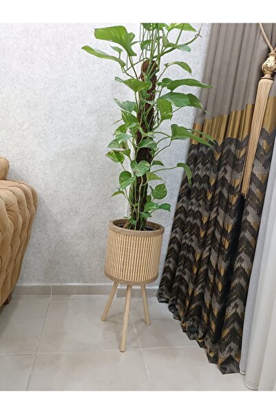 BLACK PEARL Bambu Saksı Ahşap Saksı Hasır Saksı 46cm Ayak Boyu (24CM VEYA 39C...
