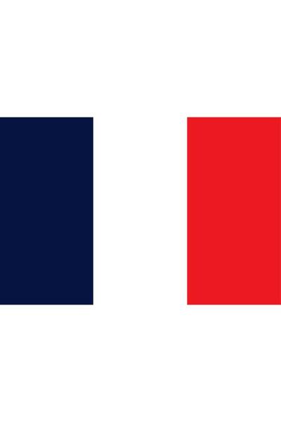 Saturn Masa Üstü Fransa Bayrağı 15x23cm Masa Bayrağı