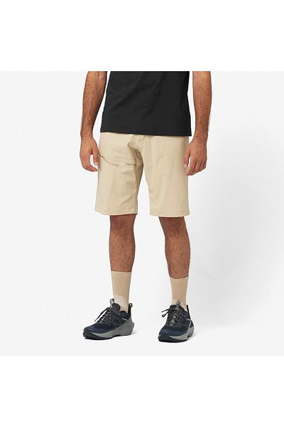 Salomon Wayfarer Shorts M Ανδρικό Σορτς Lc2217200
