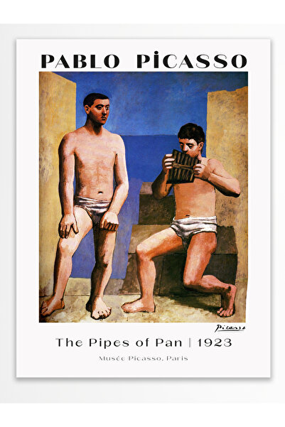 Postifull Pablo Picasso Wall Poster - Aesthetic Wall Decor - Art Series Posters - Thick Paper