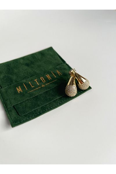 Miltonia Zircon Stone Drop Steel Earrings