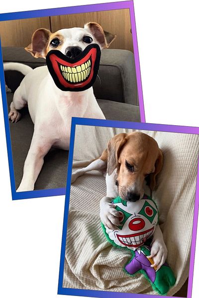 Havhav Halloween Themed Dog Toy Set with Sound Plush Joker and Joker Mouth Dog Toys