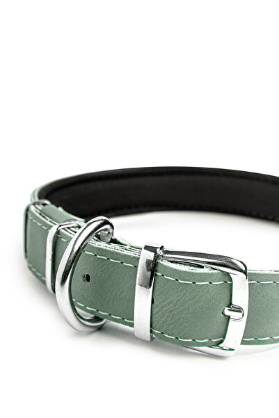 pasiole Köpek Tasması, Köpek Boyun Tasması, Büyük Ve Orta Irk Köpek Boyun Tasması - Steff