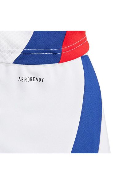 adidas Ανδρικό σορτς AFC H SHO IT6139