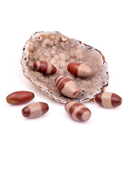Taş Sandığı Shiva Lingam Taşı Kütle