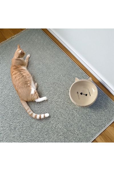 Yılmazel Tiny Friend's Cuteest Dining Friend: Cat Head Shaped Ceramic Bowl