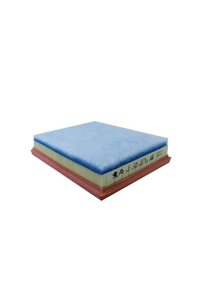 Bosch Air Filter for 2008 208 3008 301 308 5008 508 Berlingo Gnzrz
