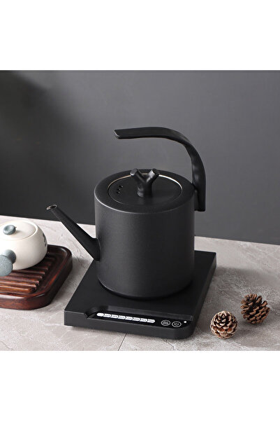 Choice EU style2 220V Electric Coffee Pot 1000ml Hot Water Jug Temperature-Co...