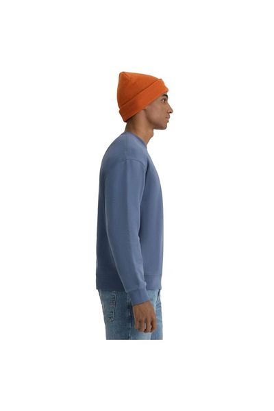 Levi's Φούτερ - Μοντέλο Crewneck