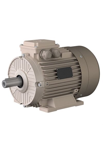 Omega Motor 2,2 Kw, 3000 Devir, B3 Ayaklı