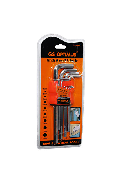 AnkaVerse 9 Pieces Chrome Long - Straight Alyan 180mm (5286)