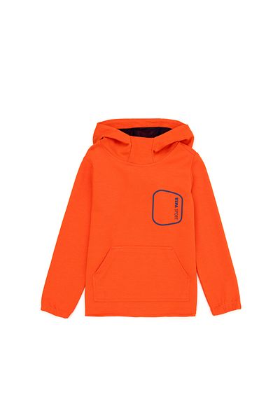 U.S. Polo Assn. Boy's Orange Sweatshirt 50270736-Vr181