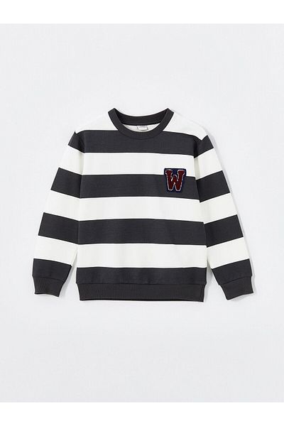 LC Waikiki Lcw Crew Neck Boy Sweatshirt