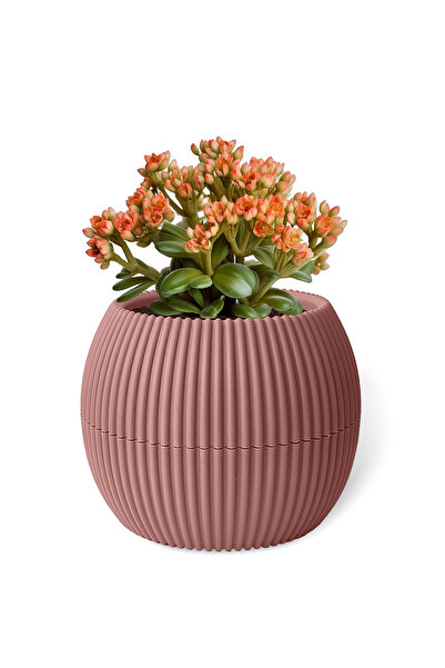 ToXA 0.70 Litre Soft Pembe Yuvarlak Plastik Mercan No3 Saksı Kaktüs Sukulent Saksısı Ø146x115mm