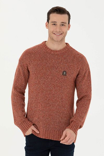 U.S. Polo Assn. Pulover pentru bărbați 50270971 -VR031