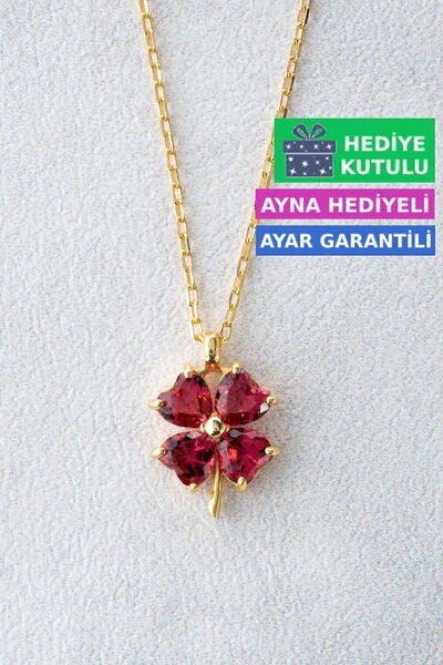 Jewelmim Kırmızı 4 Yapraklı Yonca Gümüş Kolye 18 Ayar Sarı Altın Kaplama 925 ...