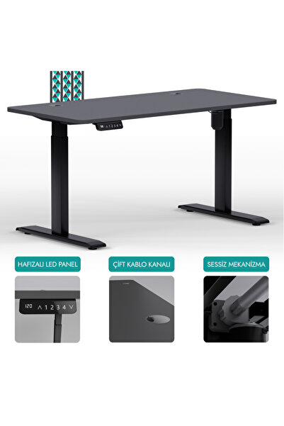 EDUSA O-Flex Tek Motorlu Elektrikli Yükseklik Ayarlı Masa - 120X60 - Antrasit