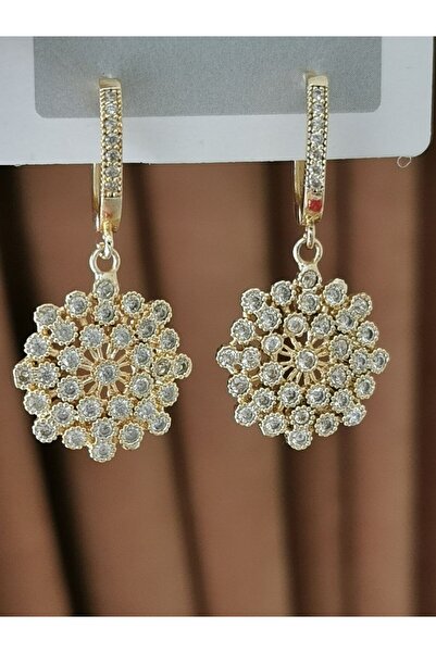 Store Zircon Stone Women's Earrings