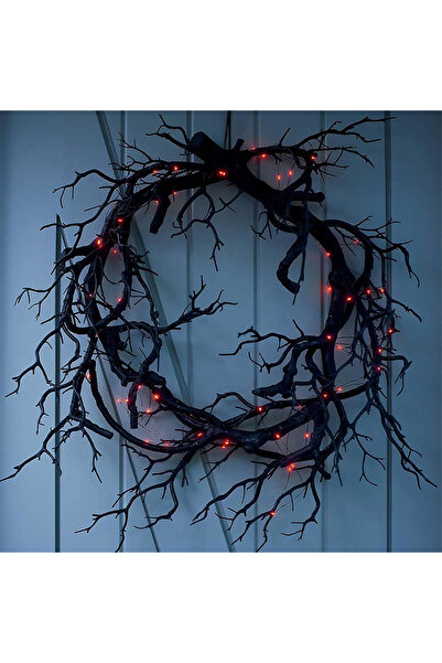 Choice قطعة واحدة من زينة إكليل الزهور للباب الأمامي بأضواء LED لامعة وفرع أس...