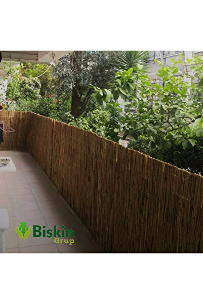 BİŞKİN 60cm x 4m Doğal Bambu Kamış Hasır Çit | Bahçe ve Balkon Dekorasyonu, Misina İpli Gölgelik