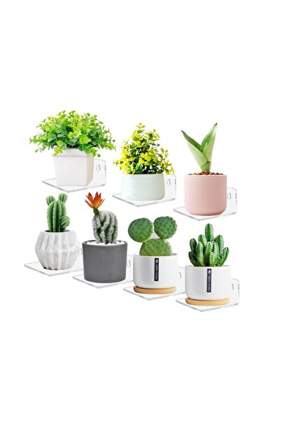 TUVA REKLAM Modern, Dayanıklı Ve Çok Amaçlı Pleksi Saksı Rafı & Düzenleyici ( 2 Adet )