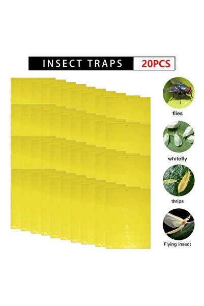 Choice3 20PCS 200-20pc Double Sided Sticky Traps Fruit Fly Trap Board Multipl...